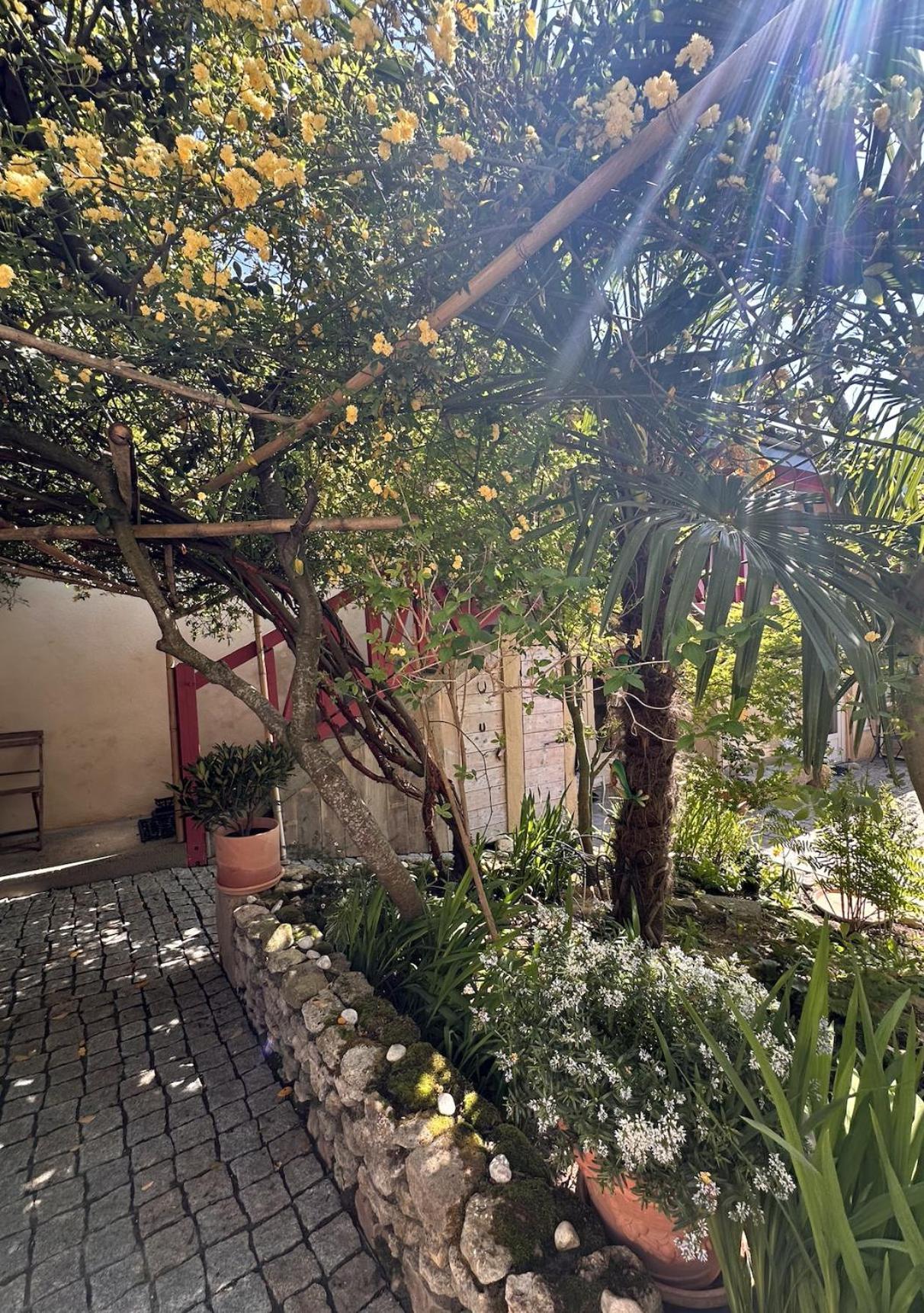 Le Patio Tursan Hotel Pimbo Buitenkant foto