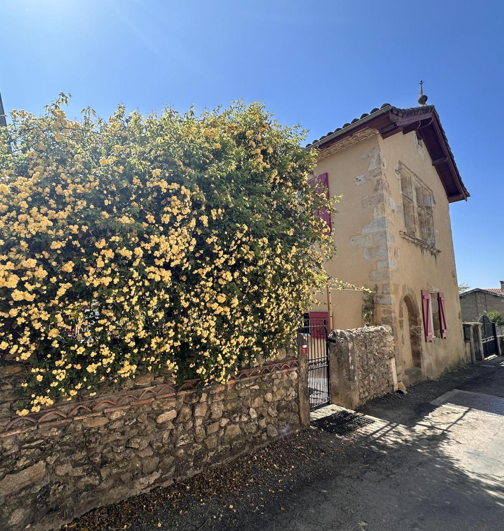 Le Patio Tursan Hotel Pimbo Buitenkant foto